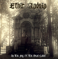 Album cover for In the Fog of the Dead Lakes