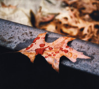 Album cover for Broken Promise