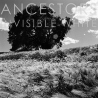 Album cover for Invisible White