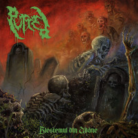 Album cover for Blestemul Din Adânc