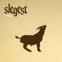 Album cover for Vidsyn