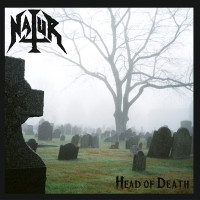 Album cover for Head of Death