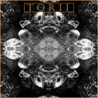 Torii