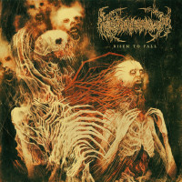 Album cover for Risen to Fall