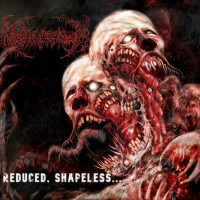 Album cover for Reduced, Shapeless...