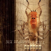 Album cover for Reborn