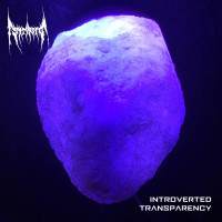 Album cover for Introverted Transparency