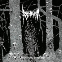 Album cover for Mysterious Semblance