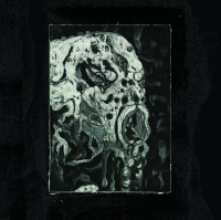 Revelations in Excrement