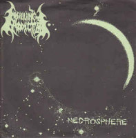 Necrosphere