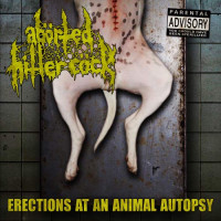 Album cover for Erections at an Animal Autopsy