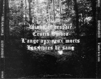 L'ombre de la croix