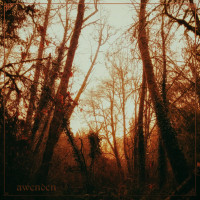 Album cover for Golden Hour