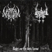 Album cover for Night on the Dark Forest