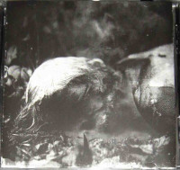 Album cover for Skogen / Ciemności