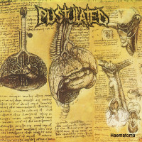 Album cover for Haematoma