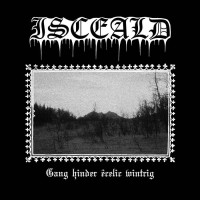Album cover for Gang hinder êcelic wintrig
