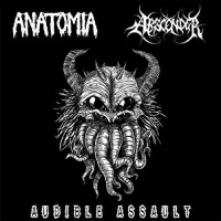 Album cover for Audible Assault