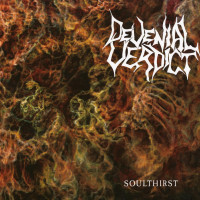 Album cover for Soulthirst