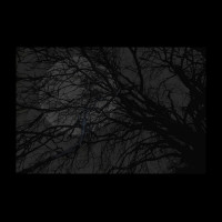 Album cover for Yön Kuningatar