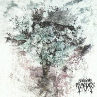 Album cover for Sorrow Plagues