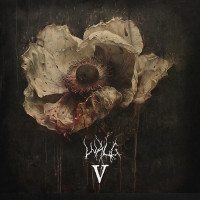 Album cover for V