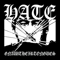 Album cover for HATE