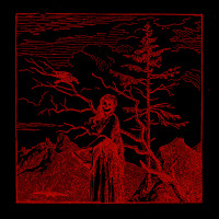 Album cover for A Raven Flew Over The Land Of The Beheaded Children EP 2013