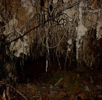 Album cover for Art noir clandestin