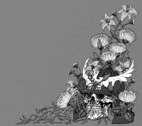 Album cover for Bloom