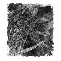 Album cover for Quando a Morte Chama por Nós