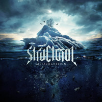 Album cover for Metacognition
