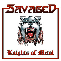 Album cover for Knights of Metal