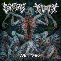 Album cover for Wet Vag