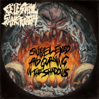 Album cover for Swivel Eyed and Gurning in the Shadows
