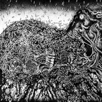 Album cover for Putrefaction Sets-In / Festerdecay