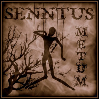 Album cover for Metum