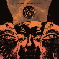 Album cover for Hallucinations