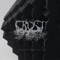 Album cover for Animals of the Concrete Forest