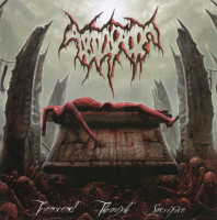 Album cover for Transcend Through Sacrifice