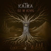 Album cover for Иду на Асгард