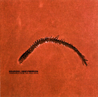 Album cover for Treasures From the Dead Seas