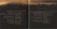 Album cover for Shunya