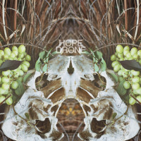 Album cover for From Mimas to Phoebe