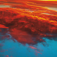 Album cover for Manifestaties van de ontworteling