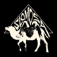 Album cover for Slomosa