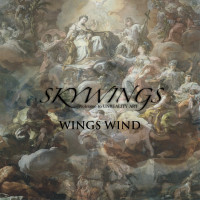 Wings Wind