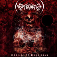 Album cover for Chalice of Thagirion