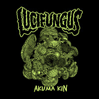 Album cover for Akuma Kin