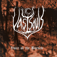Album cover for Voice of the Burned